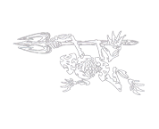 return to Extreme SEAL Experience Home Page